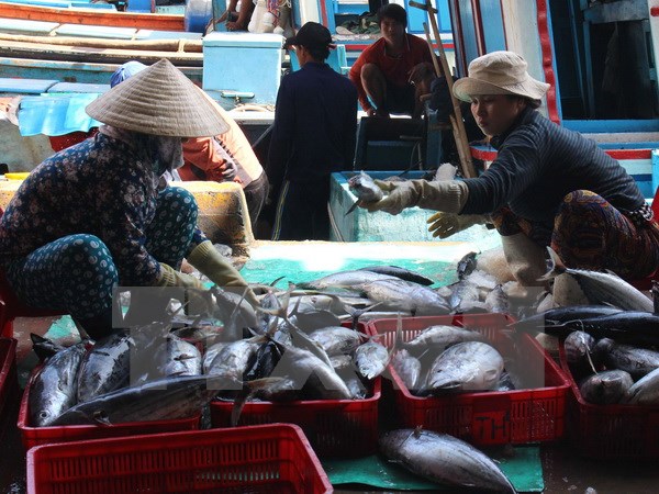 Tăng mức phạt đối với hành vi vi phạm trong hoạt động thủy sản
