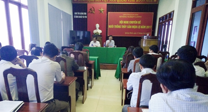 Tập trung xây dựng các vùng nuôi trồng thủy sản mặn, lợ theo hướng bền vững