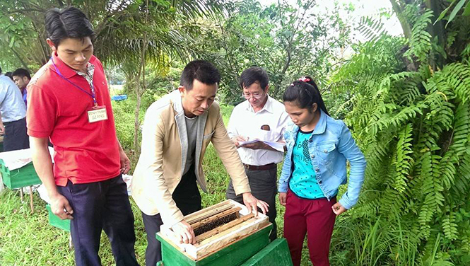 Xây dựng nhãn hiệu, thương hiệu cho sản phẩm chăn nuôi sạch: Thời cơ và thách thức