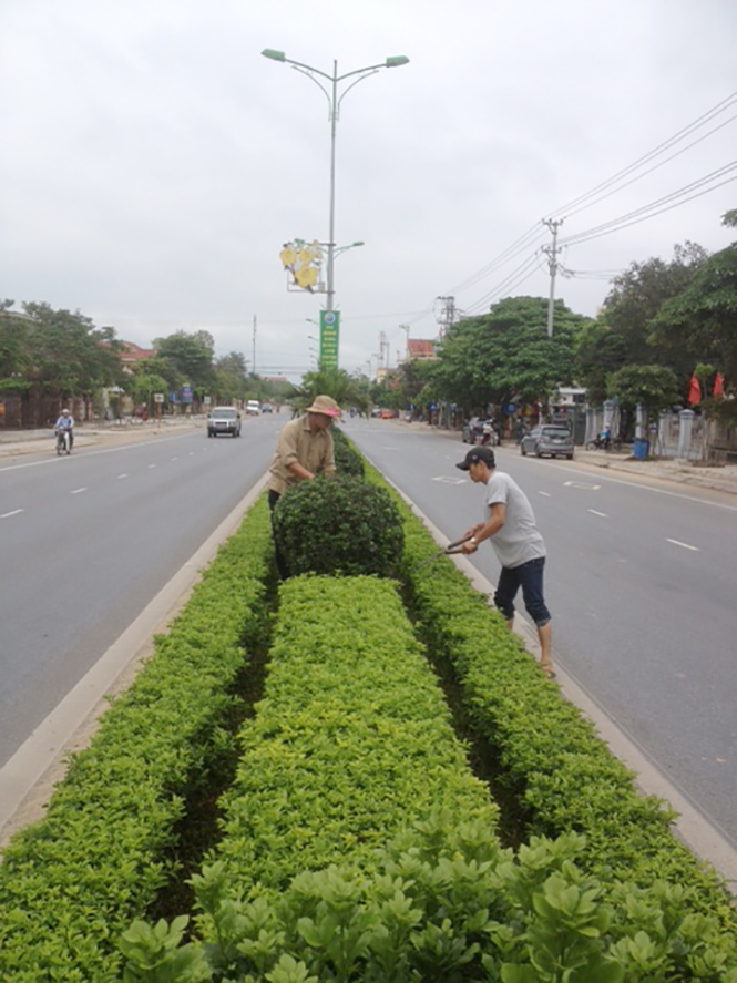Bố Trạch: Tập trung chỉnh trang đô thị phục vụ mùa du lịch 2017