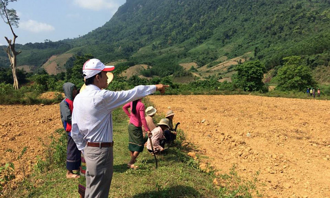 Nông dân xã Trường Sơn chuyển đổi 7,7ha đất lúa sang trồng đậu xanh
