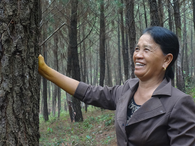 "Lộc" rừng