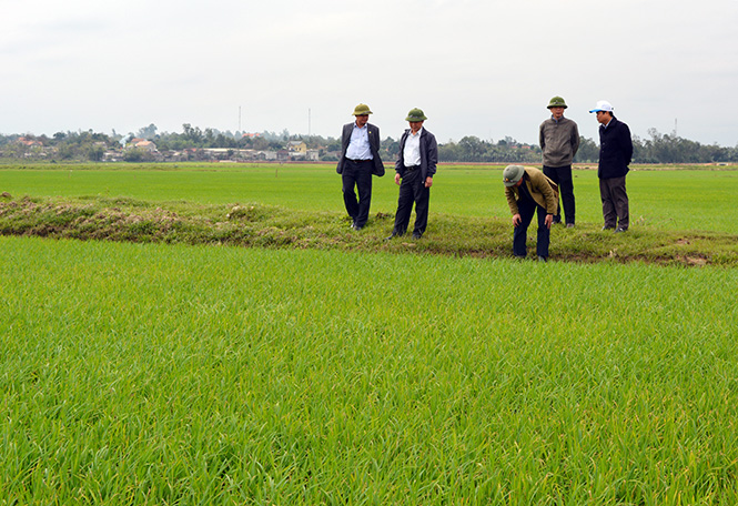 Quảng Ninh: Chuyển biến bước đầu trong phát triển kinh tế-xã hội