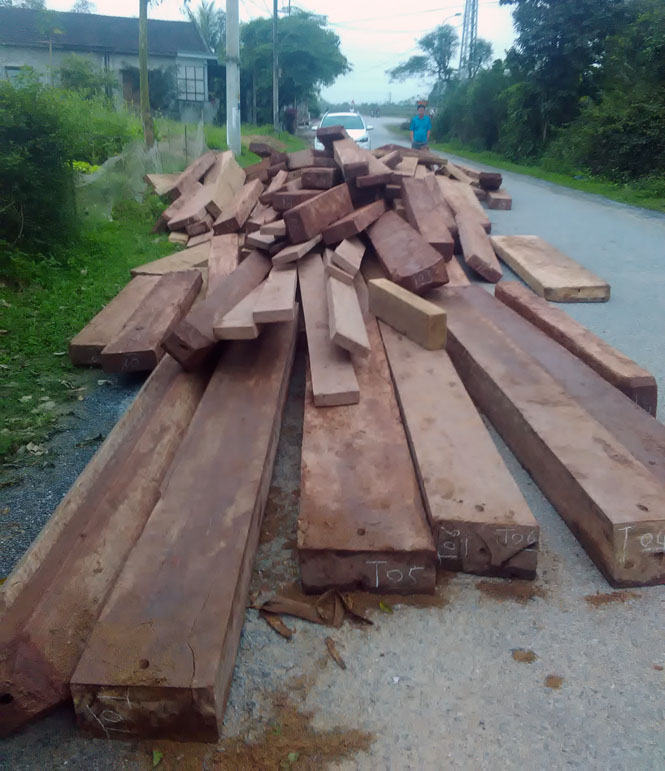Tuyên Hoá phát hiện, xử lý trên 30 vụ vi phạm lâm luật