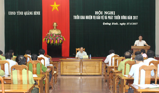 Tiếp tục thực hiện hiện quả các chương trình mục tiêu phát triển lâm nghiệp bền vững