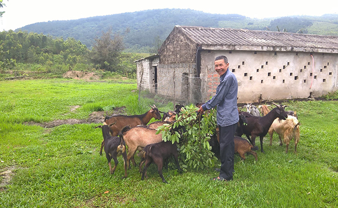 Lão nông vượt khó làm giàu