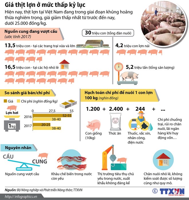 [Infographics] Giá thịt lợn giảm xuống mức thấp nhất từ trước đến nay