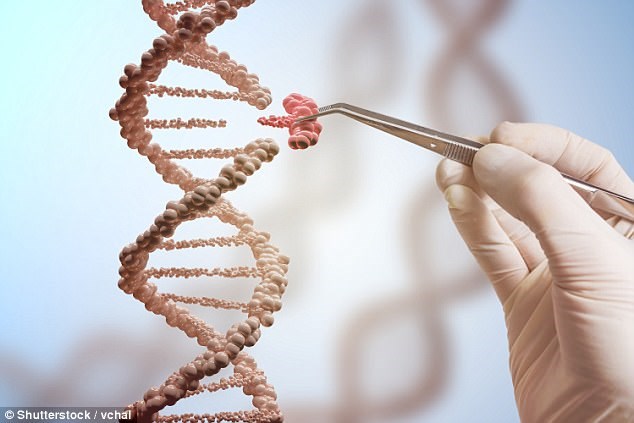 Loại bỏ hoàn toàn DNA HIV trên tế bào người cấy ghép vào chuột