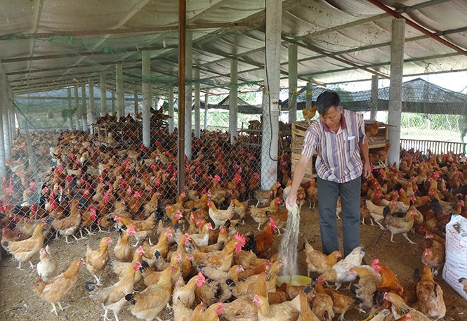 Để mỗi cựu chiến binh là một tấm gương sáng