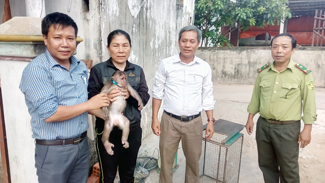 Người dân tự nguyện giao nộp động vật hoang dã quý hiếm