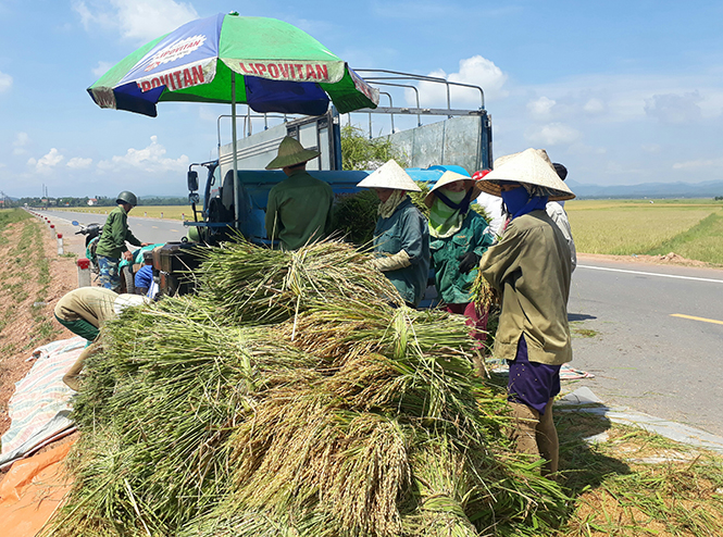 Nhớ lời Bác dạy, đồng lòng vượt qua gian khó