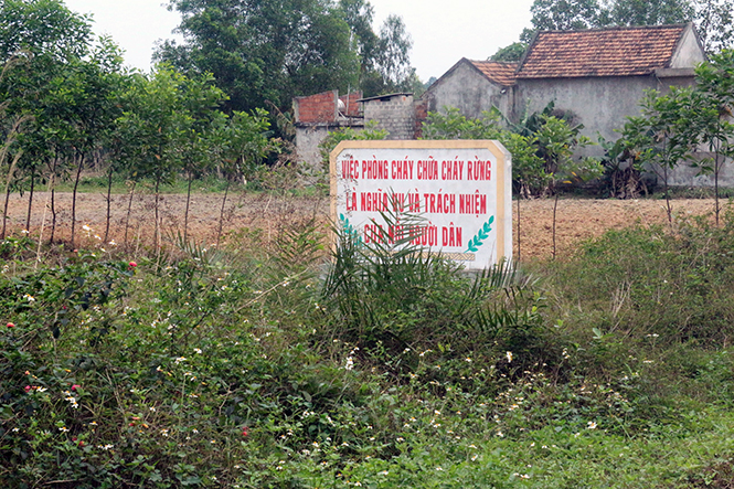 Bố Trạch: Sẵn sàng đối phó với "giặc lửa"