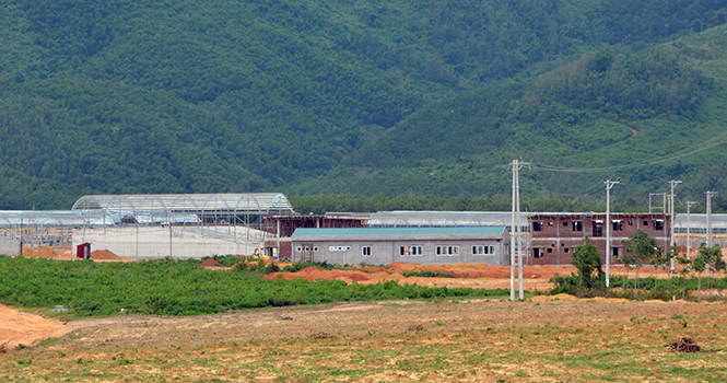 Những kỳ vọng "thức tỉnh" ngành chăn nuôi