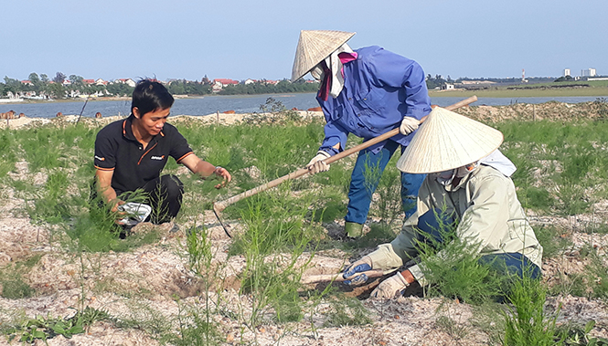 "Tiến sĩ nông dân" và giấc mơ nông nghiệp sạch