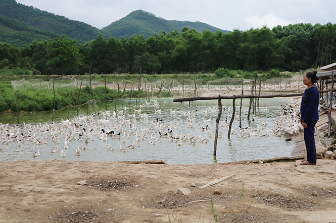Triệu phú vùng cao