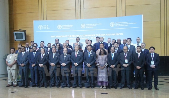 40 năm Việt Nam gia nhập LHQ: Một điển hình về hợp tác phát triển
