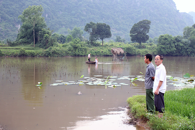 Chinh phục đồng hoang