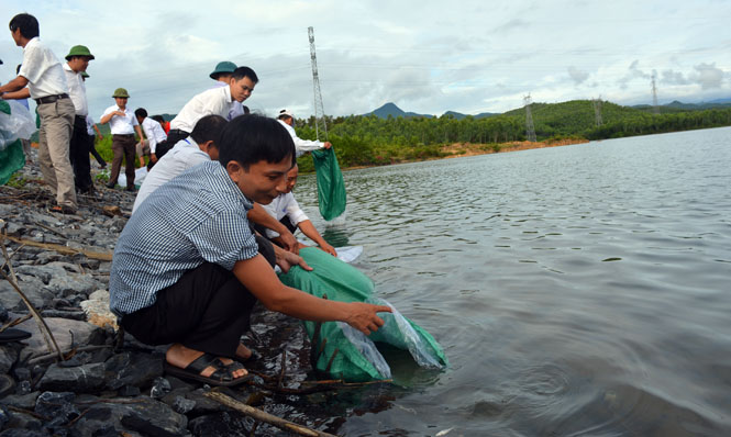 Quảng Ninh phát động phong trào bảo vệ, tái tạo và phát triển nguồn lợi thuỷ sản