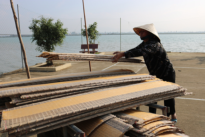 Quảng Trạch: Ưu tiên nguồn lực đào tạo nghề, giảm nghèo bền vững