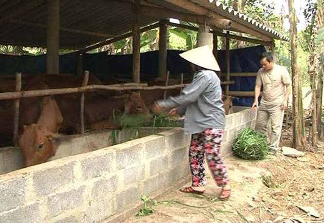 Lệ Thủy: Chú trọng đào tạo nghề cho phụ nữ nông thôn