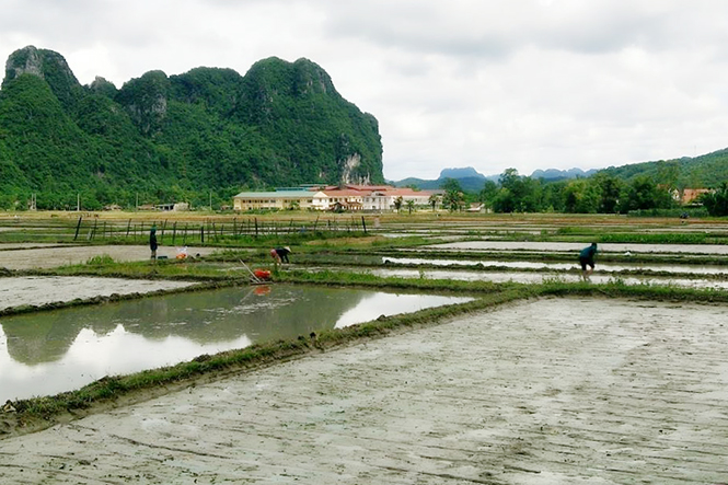 Minh Hóa: Khẩn trương xuống giống vụ hè-thu