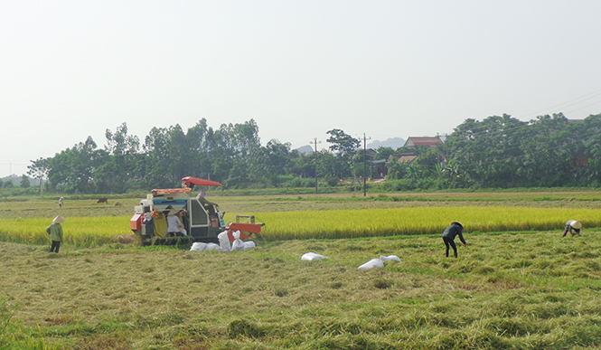 Tuyên Hóa: Phát huy nội lực, vụ mùa bội thu
