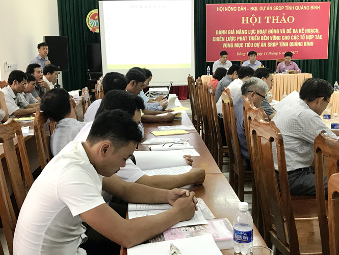 Đề ra kế hoạch phát triển bền vững các tổ hợp tác vùng mục tiêu dự án SRDP