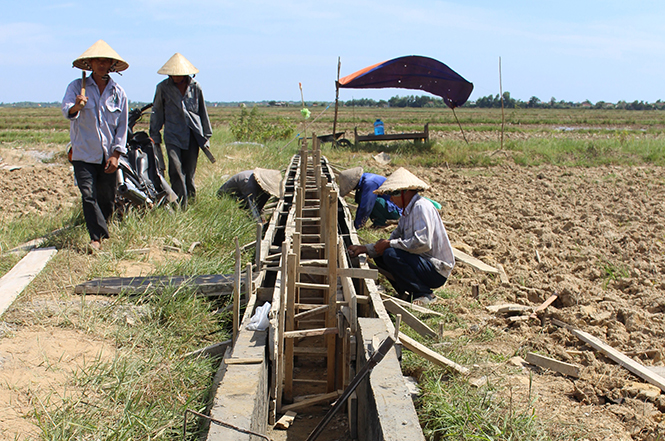 "Thương hiệu" Thượng Phong