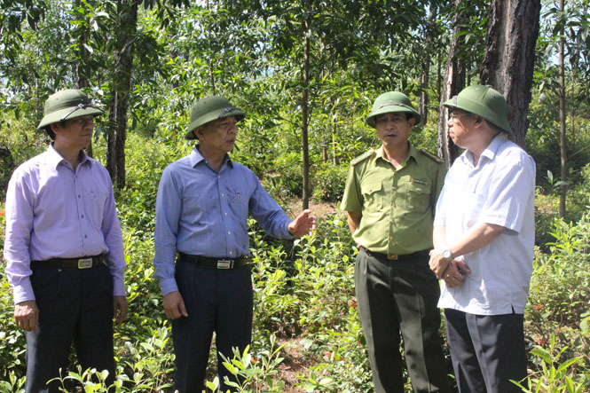 Chú trọng công tác phòng cháy, chữa cháy rừng trong mùa khô