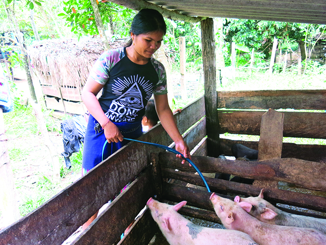 Làm theo lời Bác