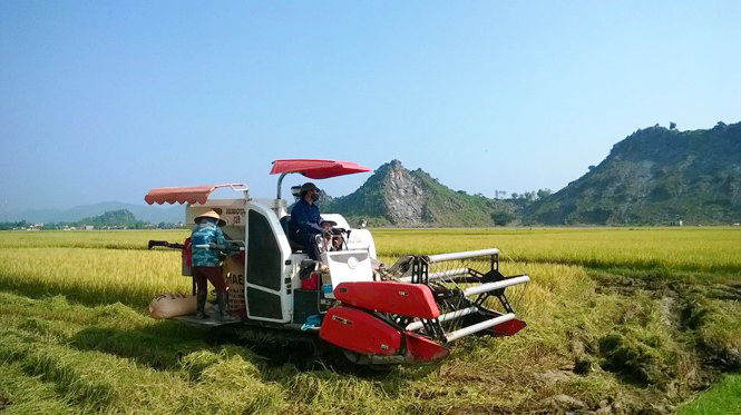 "Hợp tác xã bảo đảm không ai bị bỏ rơi"