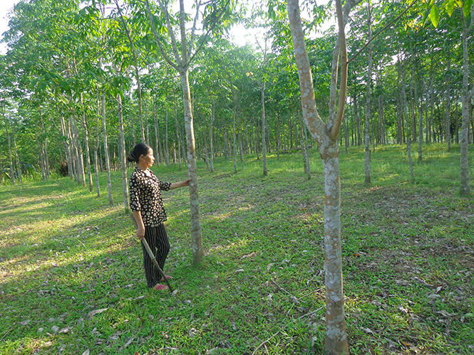 Thăng trầm "vàng trắng" Lê Hóa