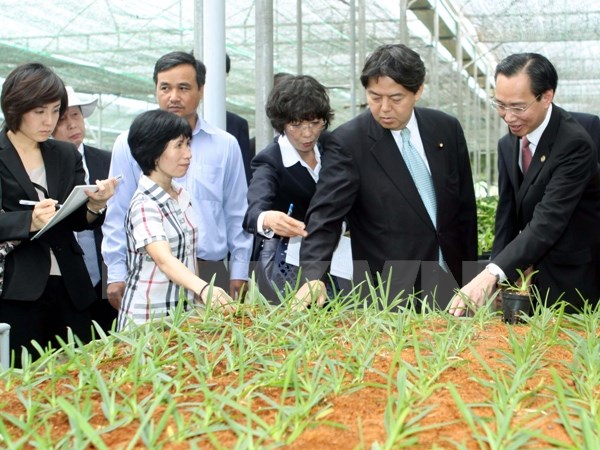 Cho vay đầu tư nông nghiệp công nghệ cao: Vẫn nỗi lo rủi ro