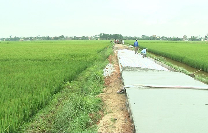 Lệ Thủy: Huy động gần 110 tỷ đồng xây dựng nông thôn mới