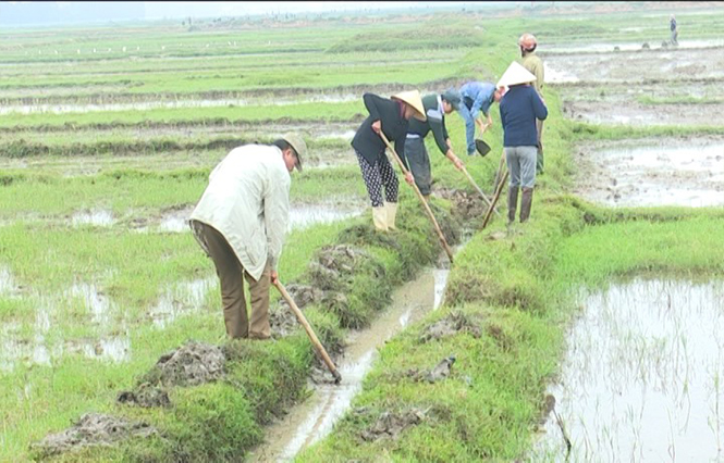 Thị xã Ba Đồn: Bảo đảm nước tưới vụ lúa hè-thu năm 2017