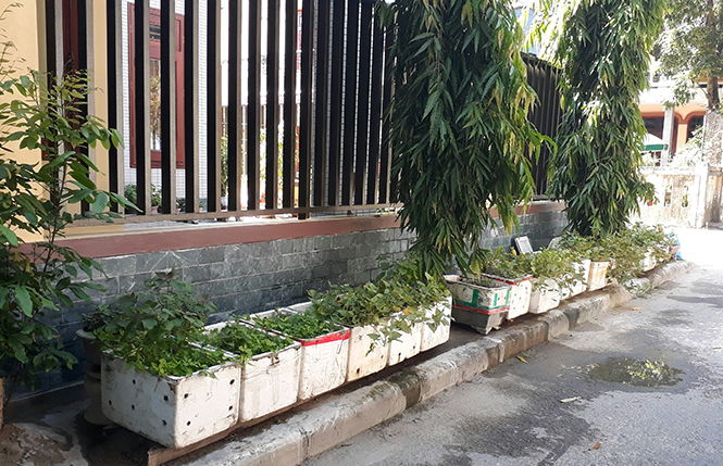 Hành trình "giải cứu" vỉa hè ở TP. Đồng Hới - Bài 1: Thực trạng vỉa hè và công tác "giải cứu"