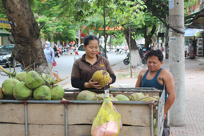 Chuyện của Vũ "dừa"