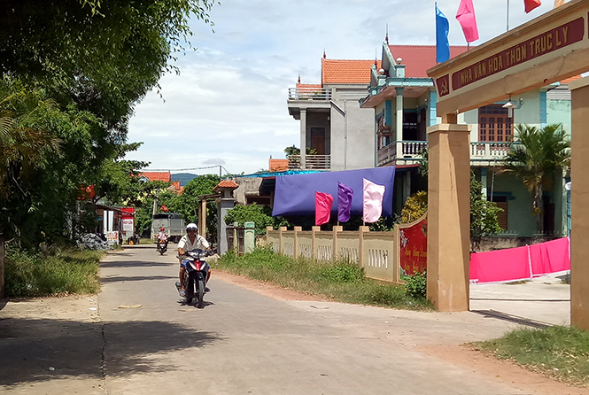 Ngày mới ở Trúc Ly