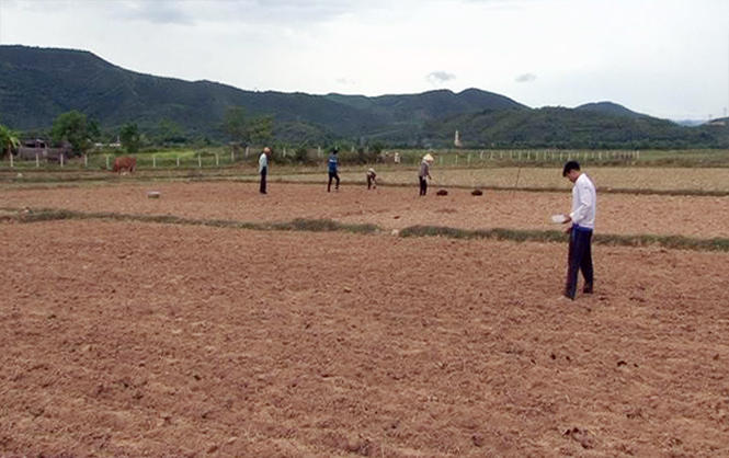 Mỹ Trạch: Chú trọng chuyển đổi diện tích đất bỏ hoang