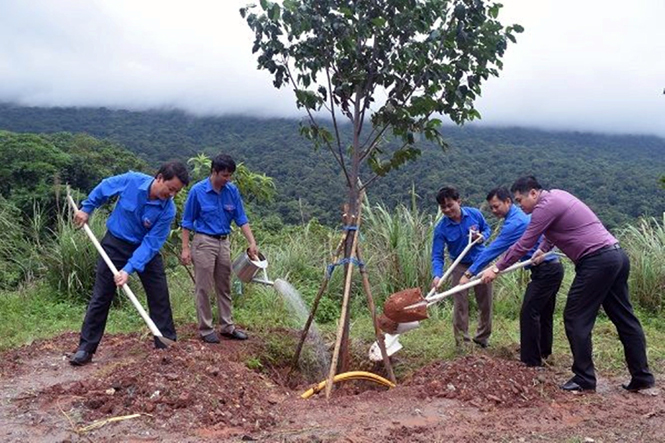 Trồng cây dọc cột mốc chủ quyền biên giới Việt -Lào