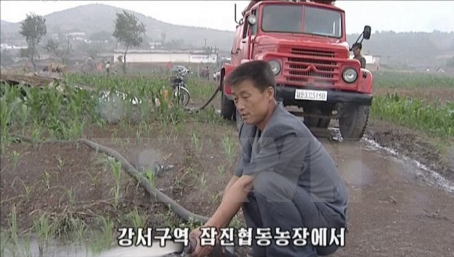 Triều Tiên đối mặt tình trạng thiếu lương thực trầm trọng do hạn hán