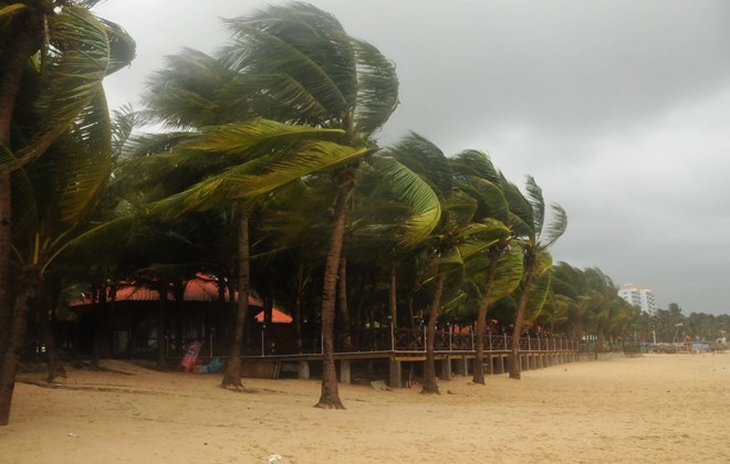Các tỉnh, thành phố ven biển và Bắc Bộ chủ động ứng phó với bão số 4