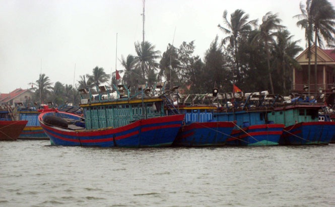 TP. Đồng Hới: 759 tàu thuyền đã vào bờ trú bão