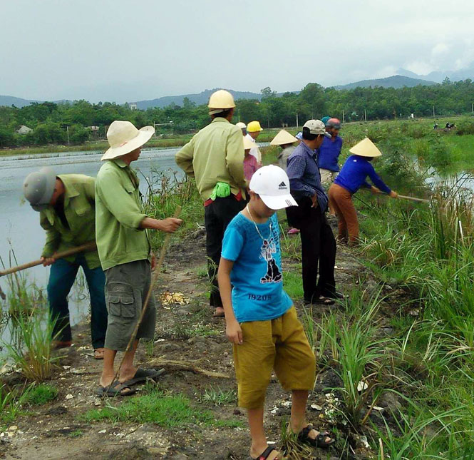 Xã Vạn Ninh: Tập trung tiêu diệt chuột, bảo vệ lúa hè-thu