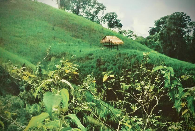 Tà xù - nét bình dị trên nương Ma Coong
