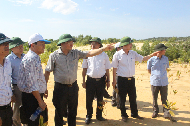 Thực hiện nghiêm túc công tác bảo đảm môi trường sau khai thác Titan