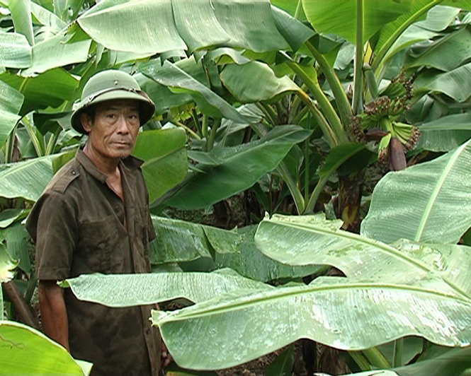 Người thương binh vượt khó làm giàu