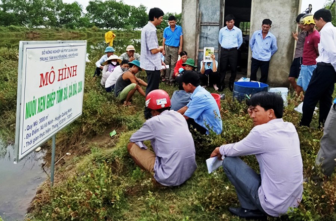 Mô hình kinh tế "3 trong 1"