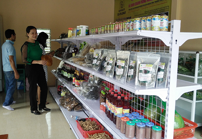 Tiếp tục nâng cao hiệu quả hoạt động của hợp tác xã