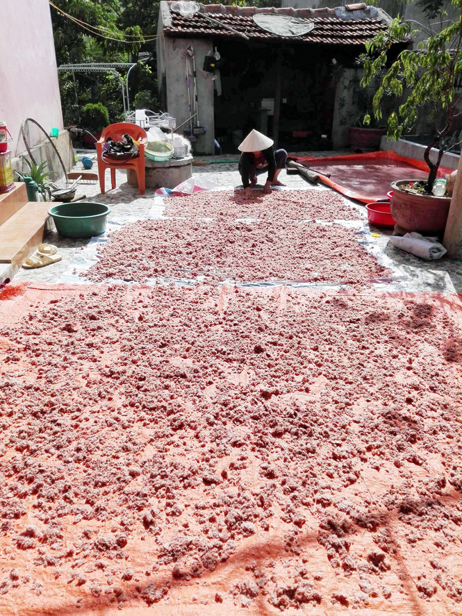 Bố Trạch: Ngư dân được mùa ruốc biển